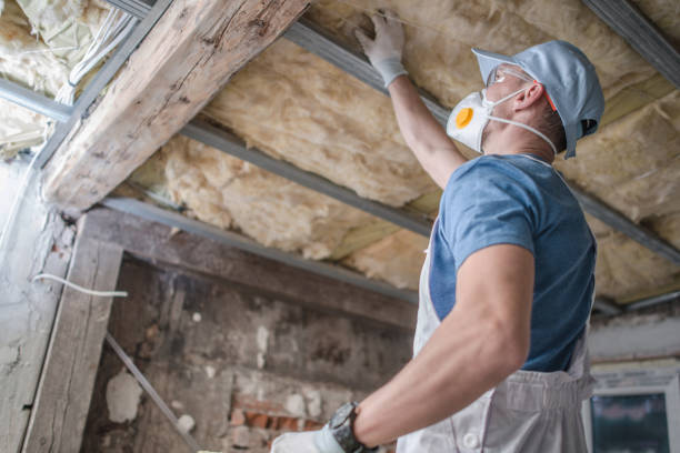 Best Blown-in Insulation  in South Dennis, NJ
