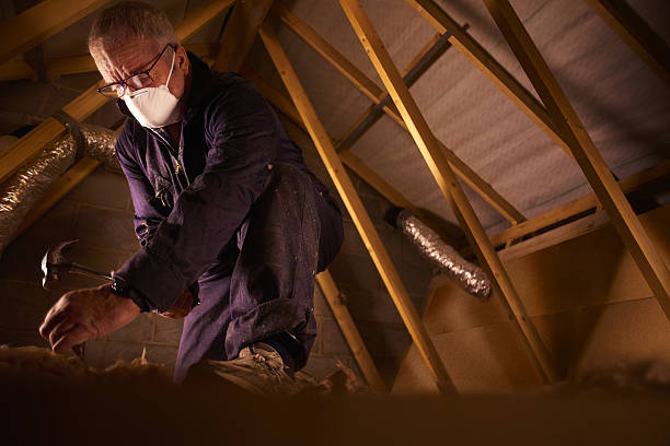 Best Insulation Replacement Services  in South Dennis, NJ